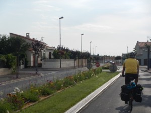 DSCN3981