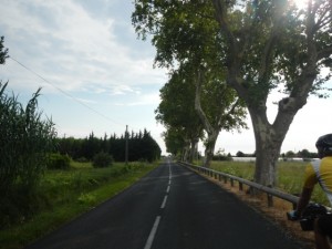 DSCN3990