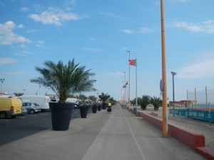 DSCN3999