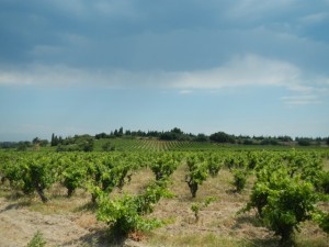 DSCN4038