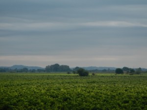 DSCN4070