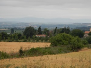 DSCN4078
