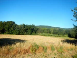 DSCN4821