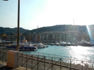 DSCN5248