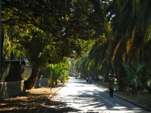 DSCN5446