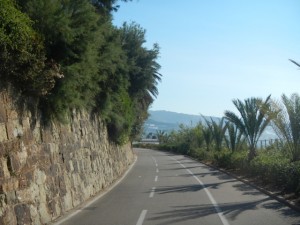 DSCN5464