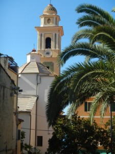 DSCN5484