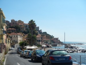 DSCN5497