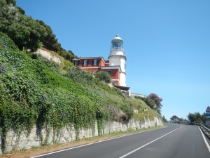 DSCN5536