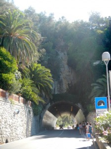 DSCN5629