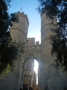 DSCN5841