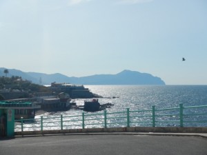 DSCN5886