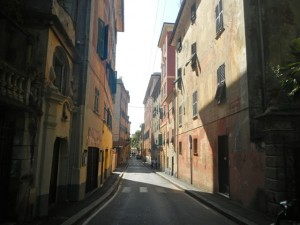 DSCN5889