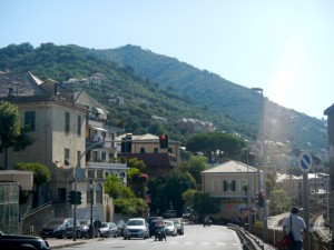 DSCN5903