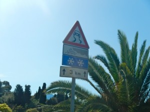 DSCN5906