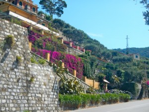DSCN5916