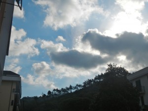 DSCN6009