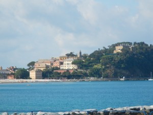 DSCN6013