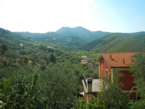 DSCN6025