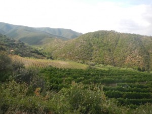 DSCN6027