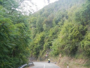 DSCN6033