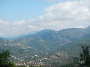 DSCN6036