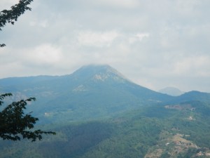 DSCN6059