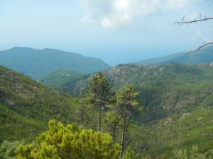 DSCN6075