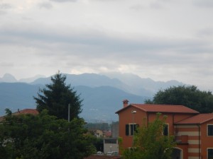 DSCN6114
