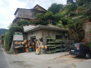 DSCN6116