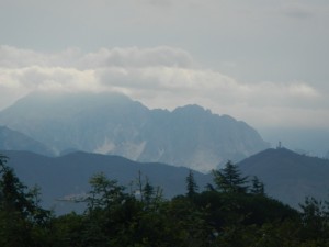 DSCN6129