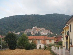 DSCN6130
