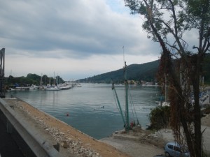 DSCN6132