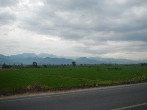 DSCN6138
