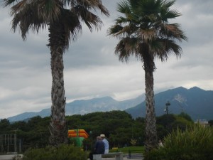 DSCN6157