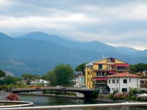 DSCN6162