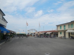 DSCN6176