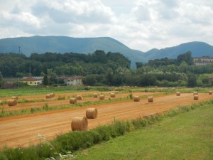 DSCN6203