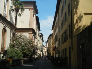 DSCN6219