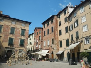 DSCN6224