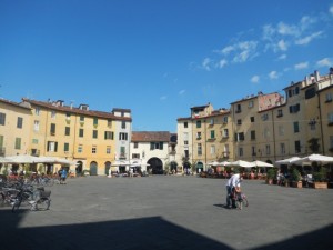 DSCN6239