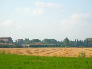 DSCN6670