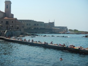 DSCN6703