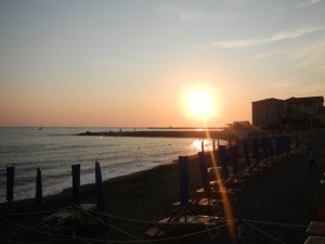 DSCN6781