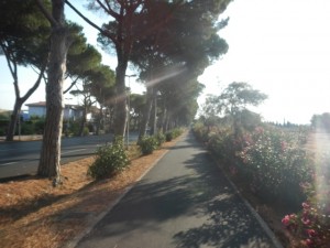 DSCN6784