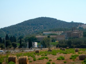 DSCN6841