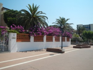 DSCN6850