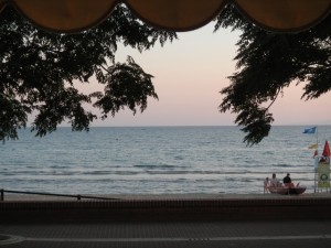 DSCN6868