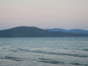 DSCN6879