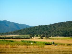 DSCN6902